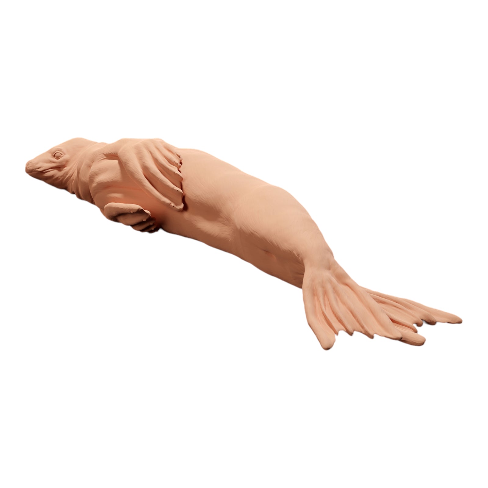 Productfoto Diorama en modelbouw miniatuurfiguur: liggende zeehond, dierenfiguur: zeehond