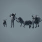 Leeuwen jagen Afrikaanse buffels - Dieren van de savanne (23_02_09)