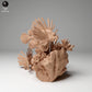 Productfoto dierenfiguur Animal Den Miniatures 1: zeedierfiguur: koraalduivel (24_06_08)
