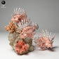 Productfoto dierenfiguur Animal Den Miniatures 2: Zeedierfiguur: koraalduivel (24_06_08)