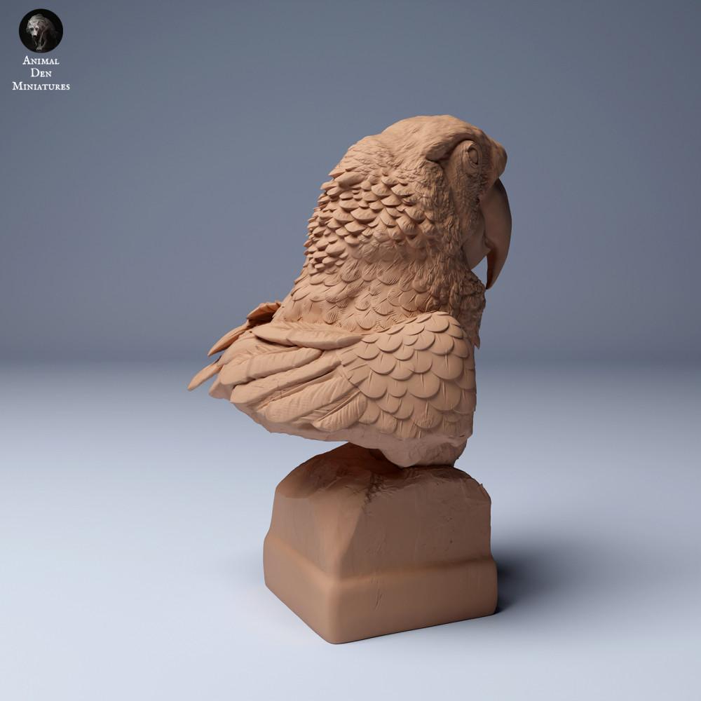 Produktfoto Tierfigur Animal Den Miniatures 1: Dschungel Tierfigur: Scharlachara - Büste (24_04_08)