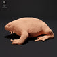 Productfoto dierenfiguur Animal Den Miniatures 0: Amfibieën dierenfiguur: Mexicaanse gravende pad (23_09_17)