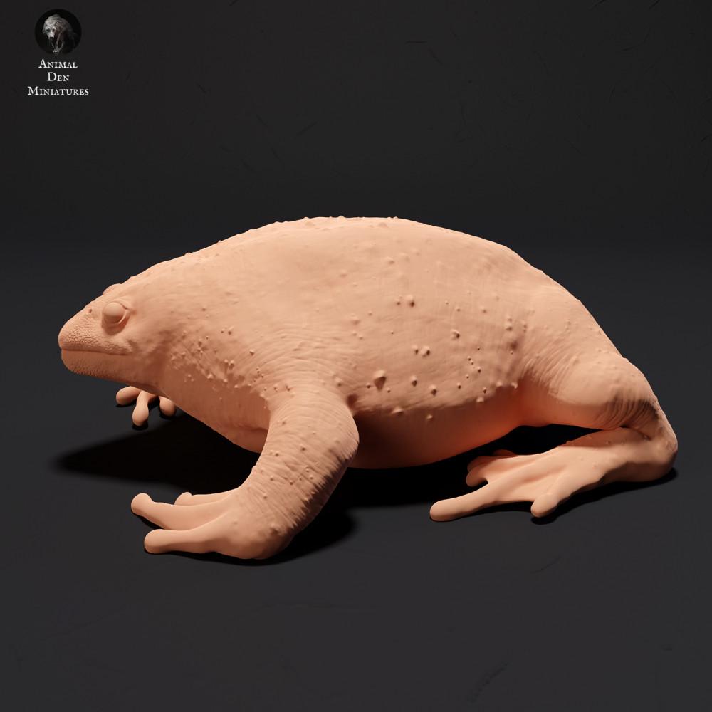 Productfoto dierenfiguur Animal Den Miniatures 0: Amfibieën dierenfiguur: Mexicaanse gravende pad (23_09_17)