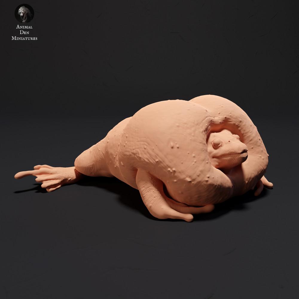 Produktfoto 0: Amphibien Tierfigur: Mexikanische Grabkröte - quakend (23_09_04)