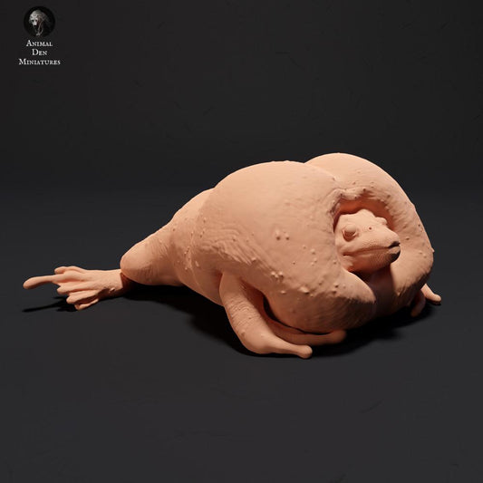 Productfoto 0: Amfibie dierenfiguur: Mexicaanse gravende pad - kwakend (23_09_04)