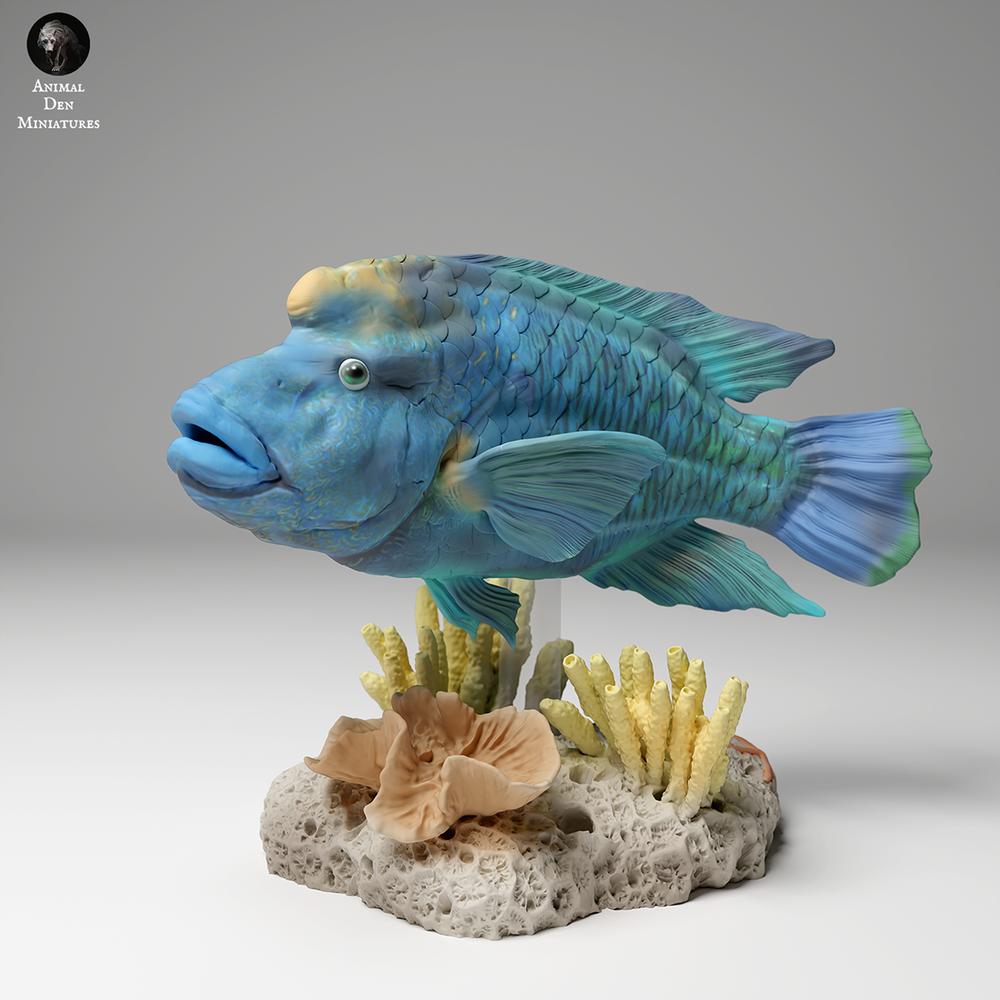 Productfoto dierenfiguur Animal Den Miniatures 2: zeedierfiguur: Napoleon-lipvis (24_06_07)