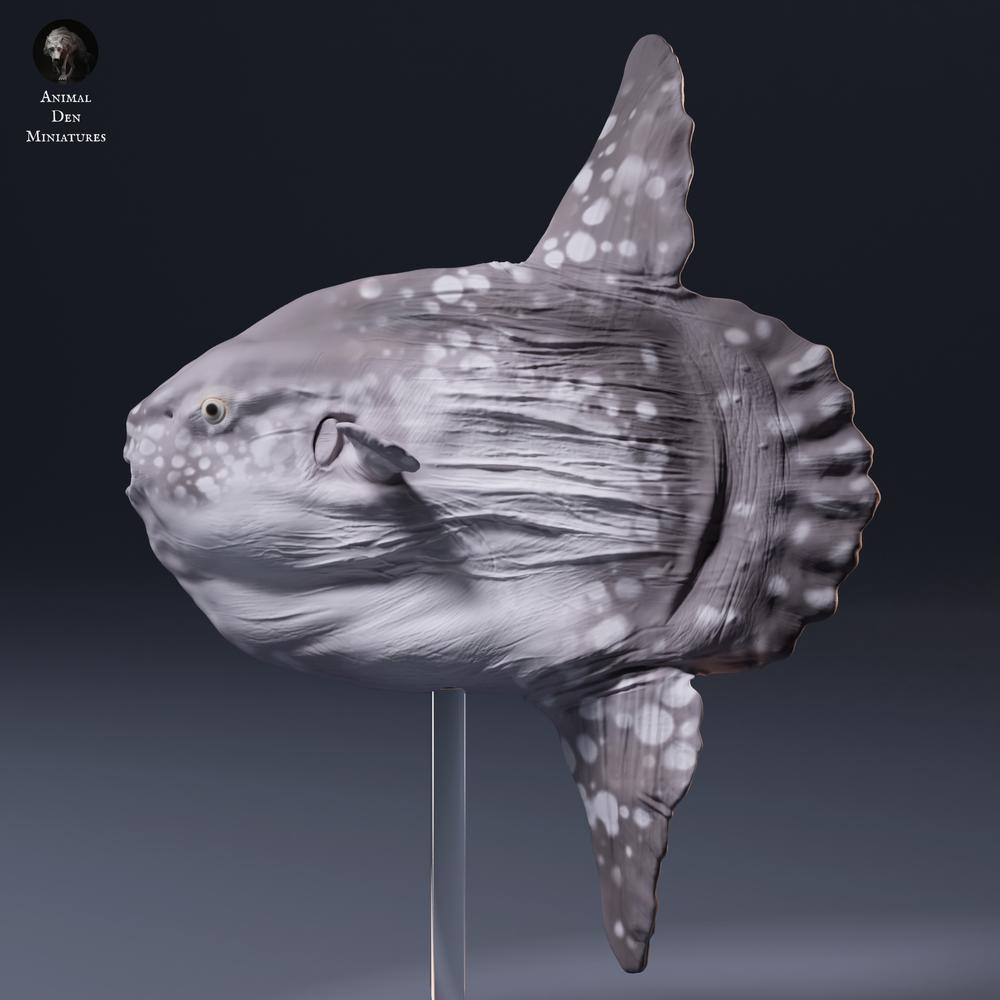 Productfoto dierfiguur Animal Den Miniatures 6: zeedierfiguur: maanvis (26_09_06)