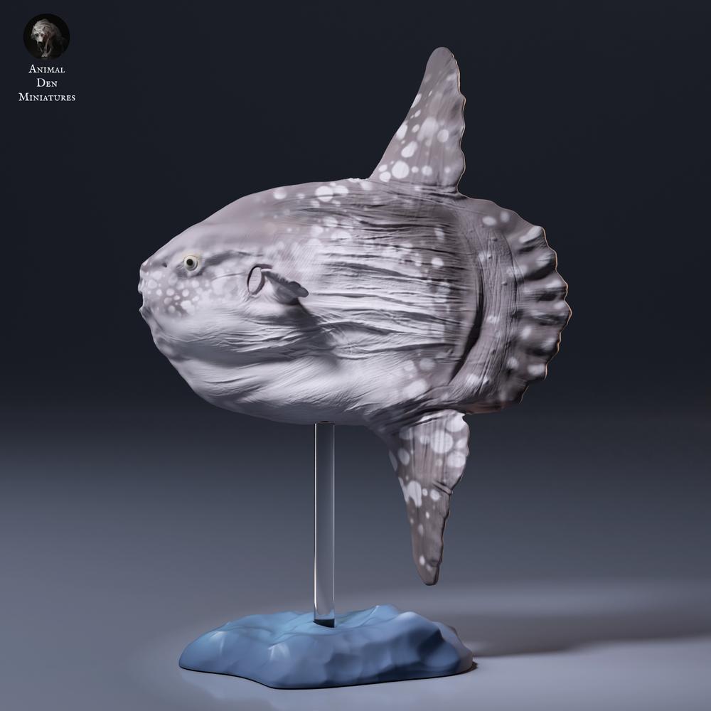 Productfoto dierenfiguur Animal Den Miniatures 7: zeedierenfiguur: maanvis (26_09_06)