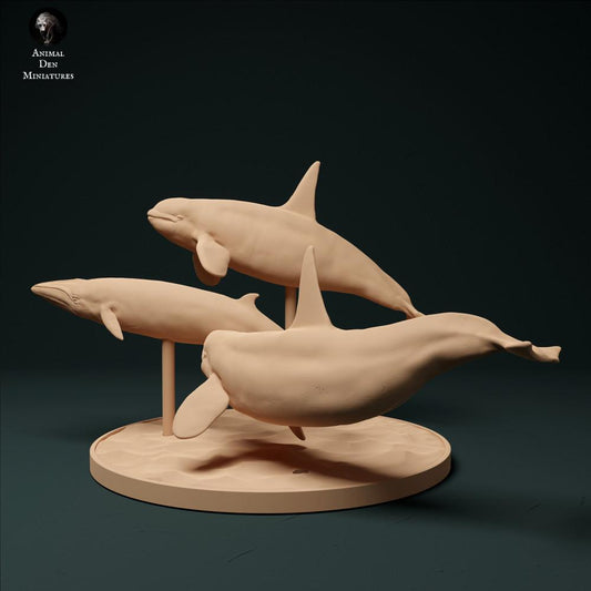 Productfoto dierenfiguur Animal Den Miniatures 0: Zeedierfiguur: Noord-Atlantische type 2-orka's - jacht op dwergvinvis (23_12_10)