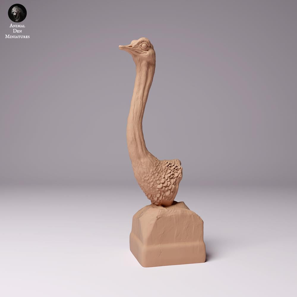 Productfoto dierenfiguur Animal Den Miniatures 0: Wilde dierenfiguur: Noord-Afrikaanse struisvogel - buste (24_07_10)