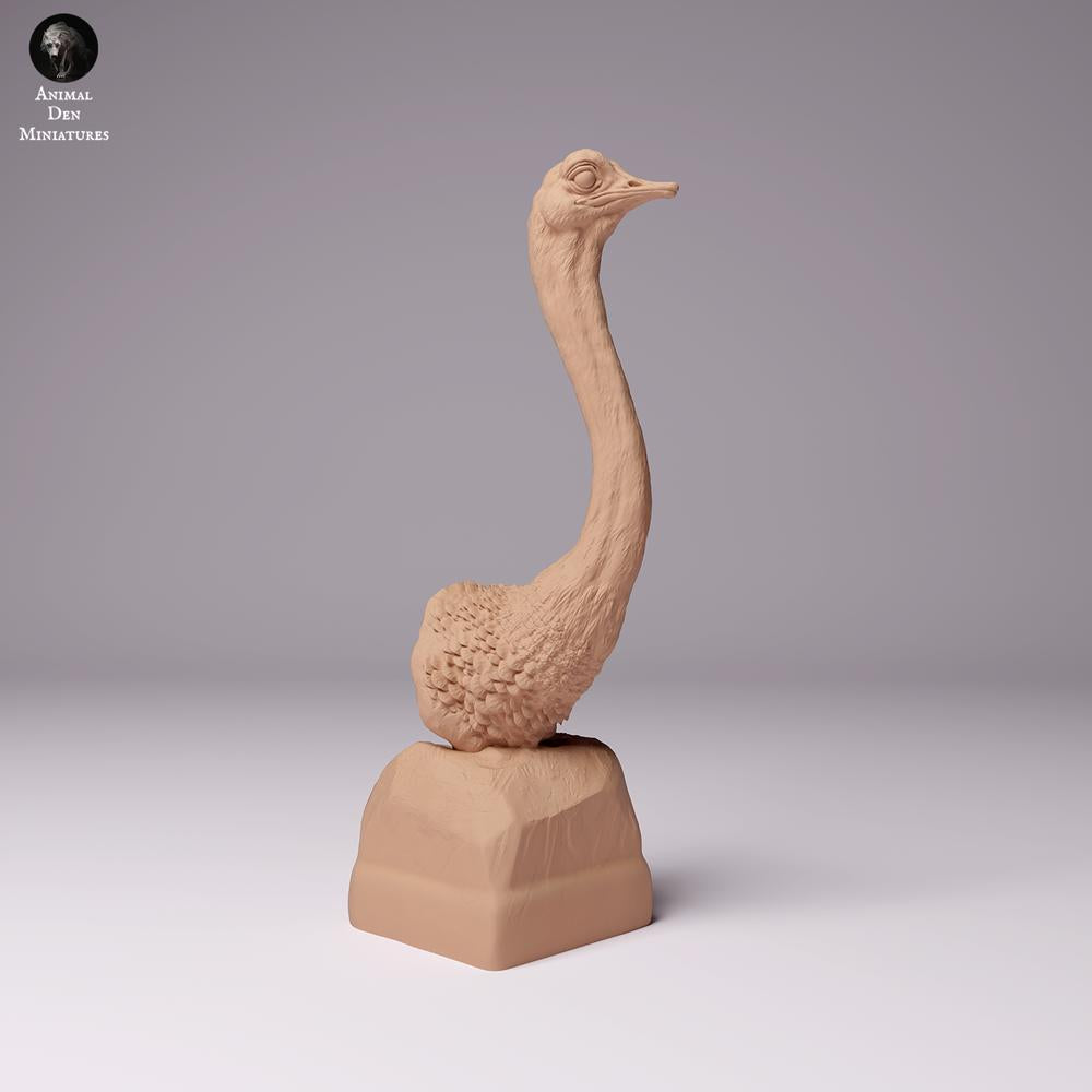 Productfoto dierenfiguur Animal Den Miniatures 1: Wilde dierenfiguur: Noord-Afrikaanse struisvogel - buste (24_07_10)