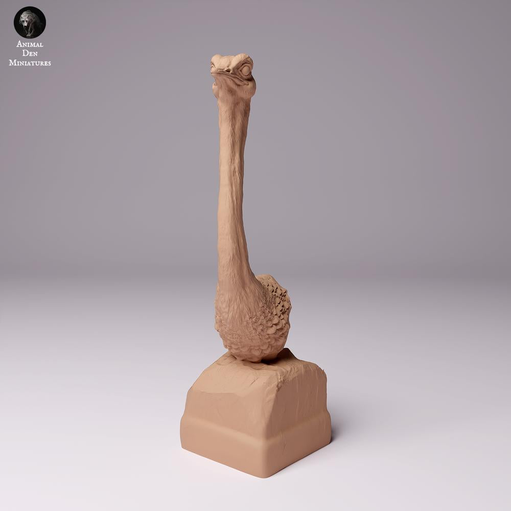 Productfoto dierenfiguur Animal Den Miniatures 2: Wilde dierenfiguur: Noord-Afrikaanse struisvogel - buste (24_07_10)