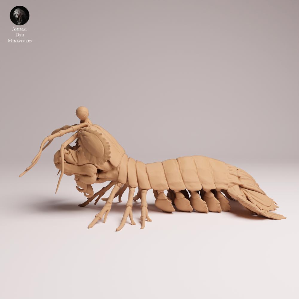 Productfoto 1: Zeedierfiguur: Pauwoogbidsprinkhaankreeft (25_10_02)