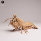 Productfoto 2: Zeedierfiguur: Pauwoogbidsprinkhaankreeft (25_10_02)