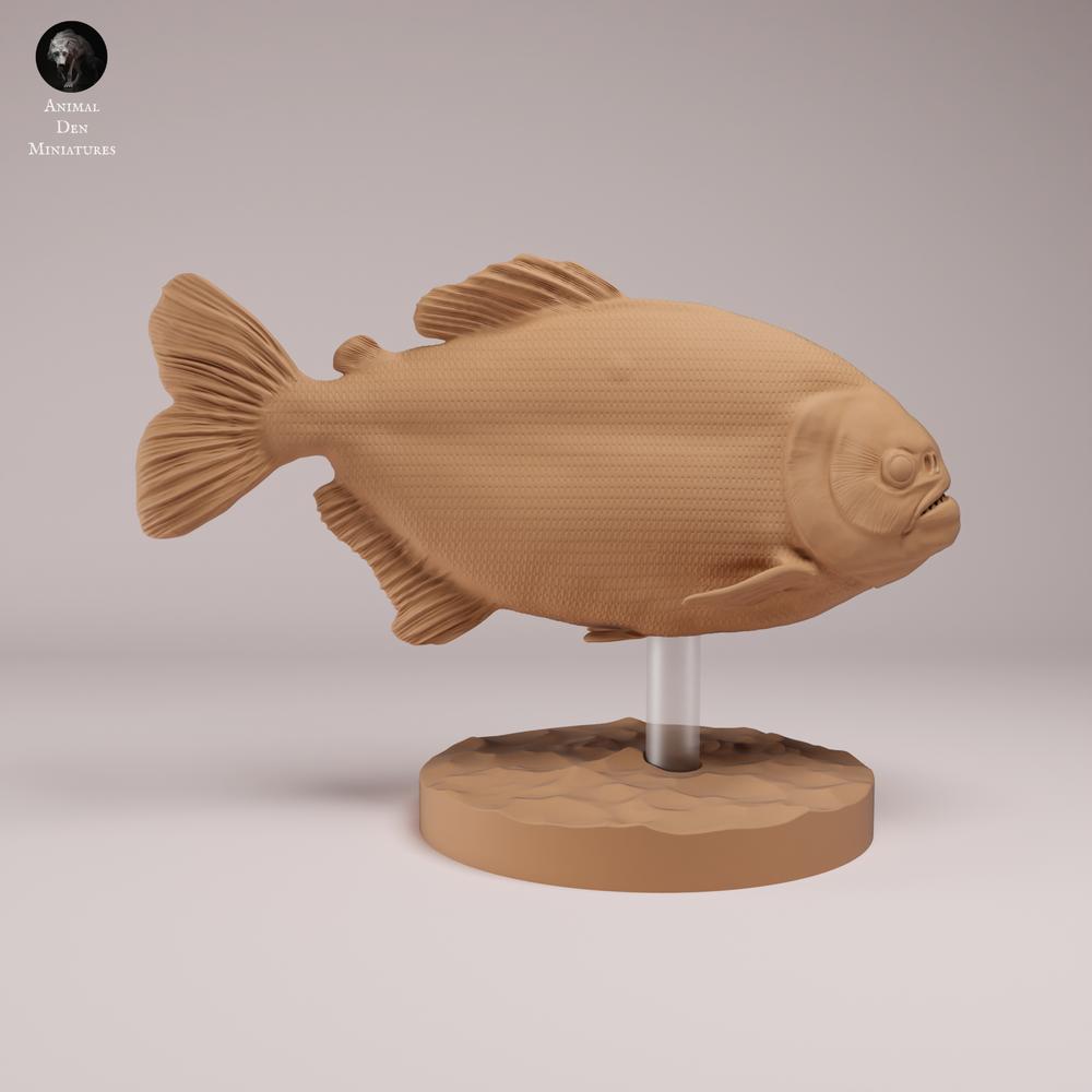 Productfoto dierenfiguur Animal Den Miniatures 1: Visdierenfiguur: rode piranha met rode buik (26_08_01)