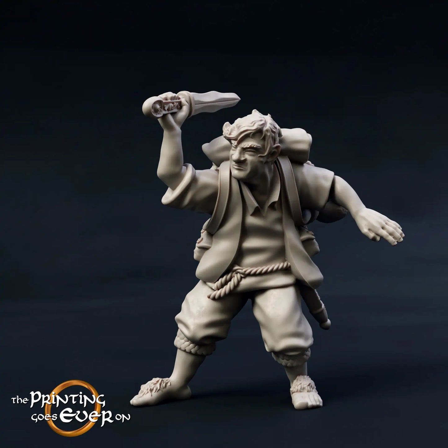 Productfoto Tabletop 28mm The Printing Goes Ever On (TPGEO) 0: 9 Helden in gevechtspositie: Gefährten van mensen, elfen, dwergen en hobbits - Krijgers