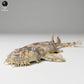 Productfoto dierenfiguur Animal Den Miniatures 2: zeedierdierenfiguur: gevlekte tapijthaai (24_06_04)