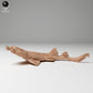 Productfoto dierenfiguur Animal Den Miniatures 0: zeedier dierenfiguur: gevlekte tapijthaai - op jacht (24_06_05)