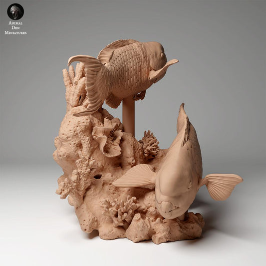Productfoto dierenfiguur Animal Den Miniatures 0: Zeedier dierenfiguur: steilkop-papegaaivis (24_05_01)