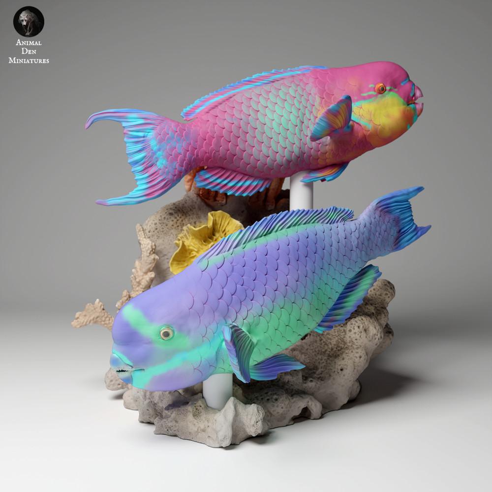Productfoto dierenfiguur Animal Den Miniatures 2: zeedierfiguur: steilkop-papegaaivis (24_05_01)