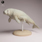 Productfoto Tabletop 28mm Lord of the Print (LotP) 3: Zeezoogdier dierenfiguur: Stellers zeekoe - met kalf (26_04_06)