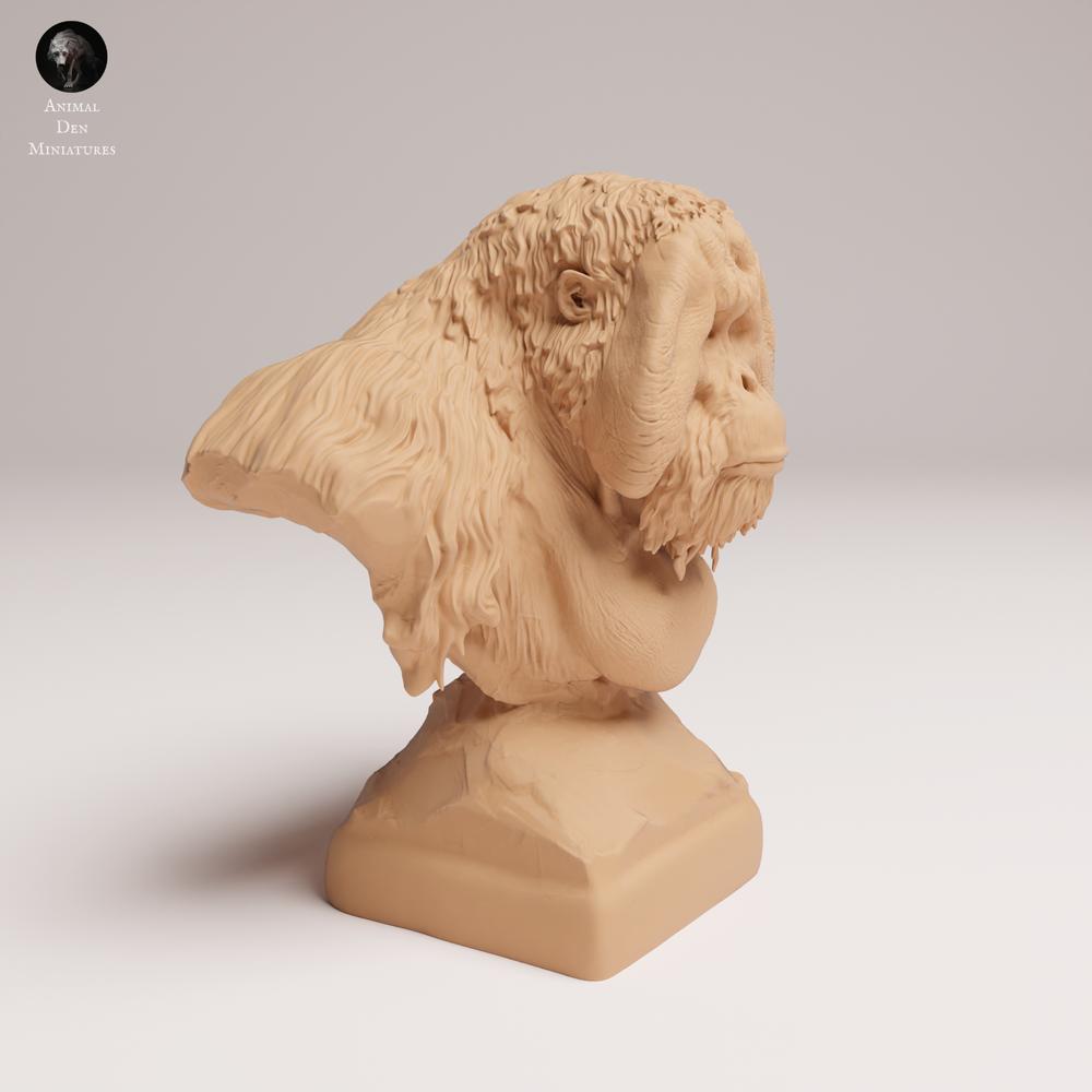 Productfoto 0: Wild dierfiguur: Sumatra-orang-oetan - Buste (25_03_04)