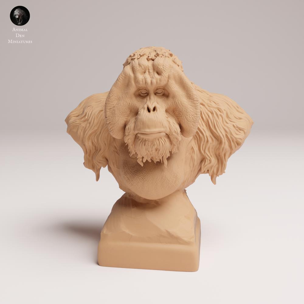 Productfoto 1: Wild dierfiguur: Sumatra-orangoetan - buste (25_03_04)