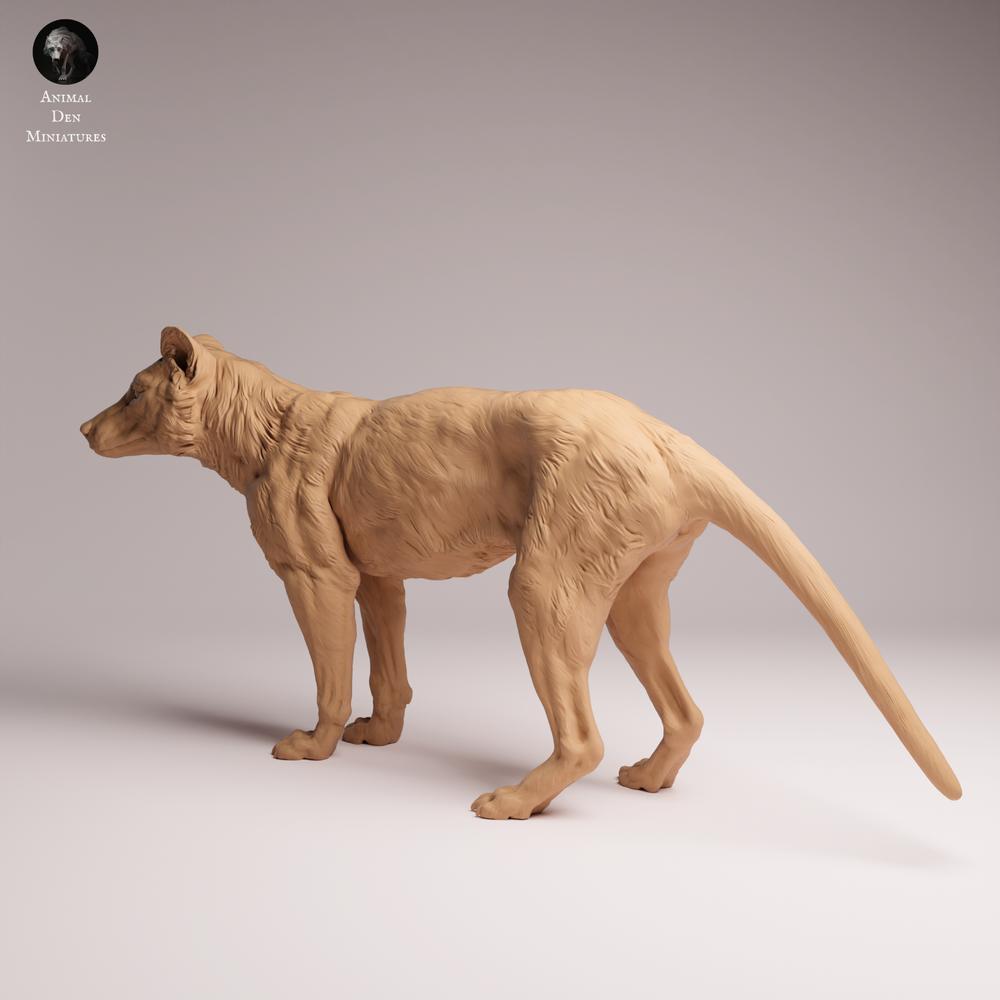 Productfoto Tabletop 28mm Lord of the Print (LotP) 1: Wild dierfiguur: buidelwolf (Tasmaanse tijger) - staand (26_04_10)