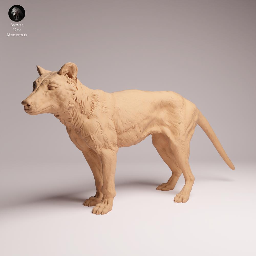 Productfoto Tabletop 28mm Lord of the Print (LotP) 2: Wildlife dierenfiguur: buidelwolf (Tasmaanse tijger) - staand (26_04_10)