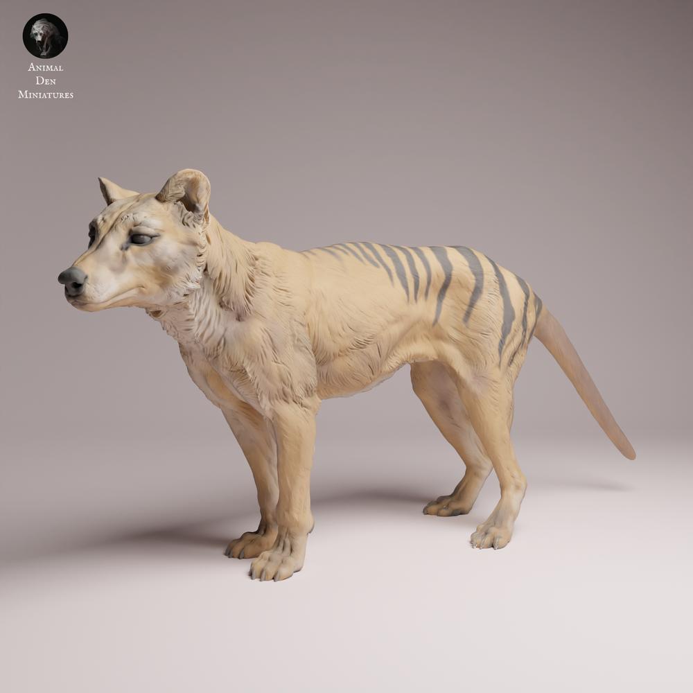 Productfoto Tabletop 28mm Lord of the Print (LotP) 3: Wild dierfiguur: buidelwolf (Tasmaanse tijger) - staand (26_04_10)