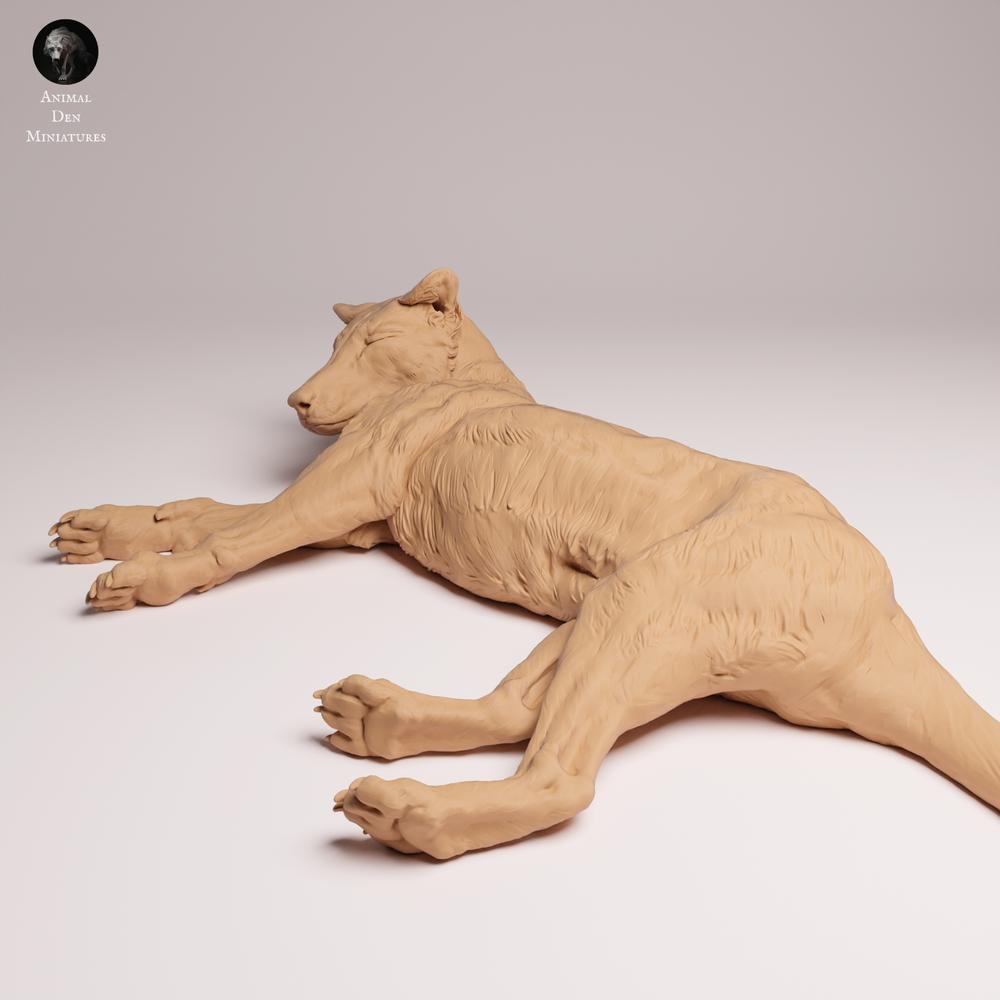 Productfoto Tabletop 28mm Lord of the Print (LotP) 0: Wilddierfiguur: Tasmaanse tijger - liggend (26_04_07)