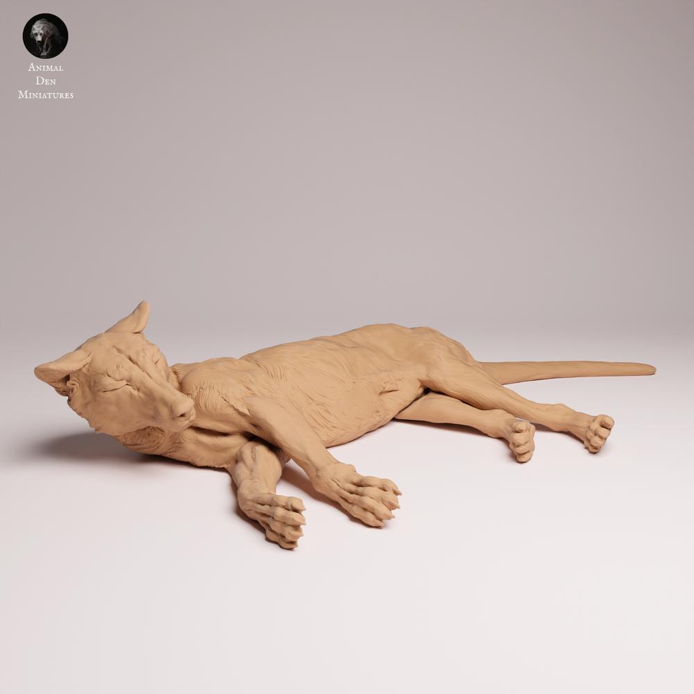 Productfoto Tabletop 28mm Lord of the Print (LotP) 2: dierenfiguur van een wild dier: Tasmaanse tijger - liggend (26_04_07)