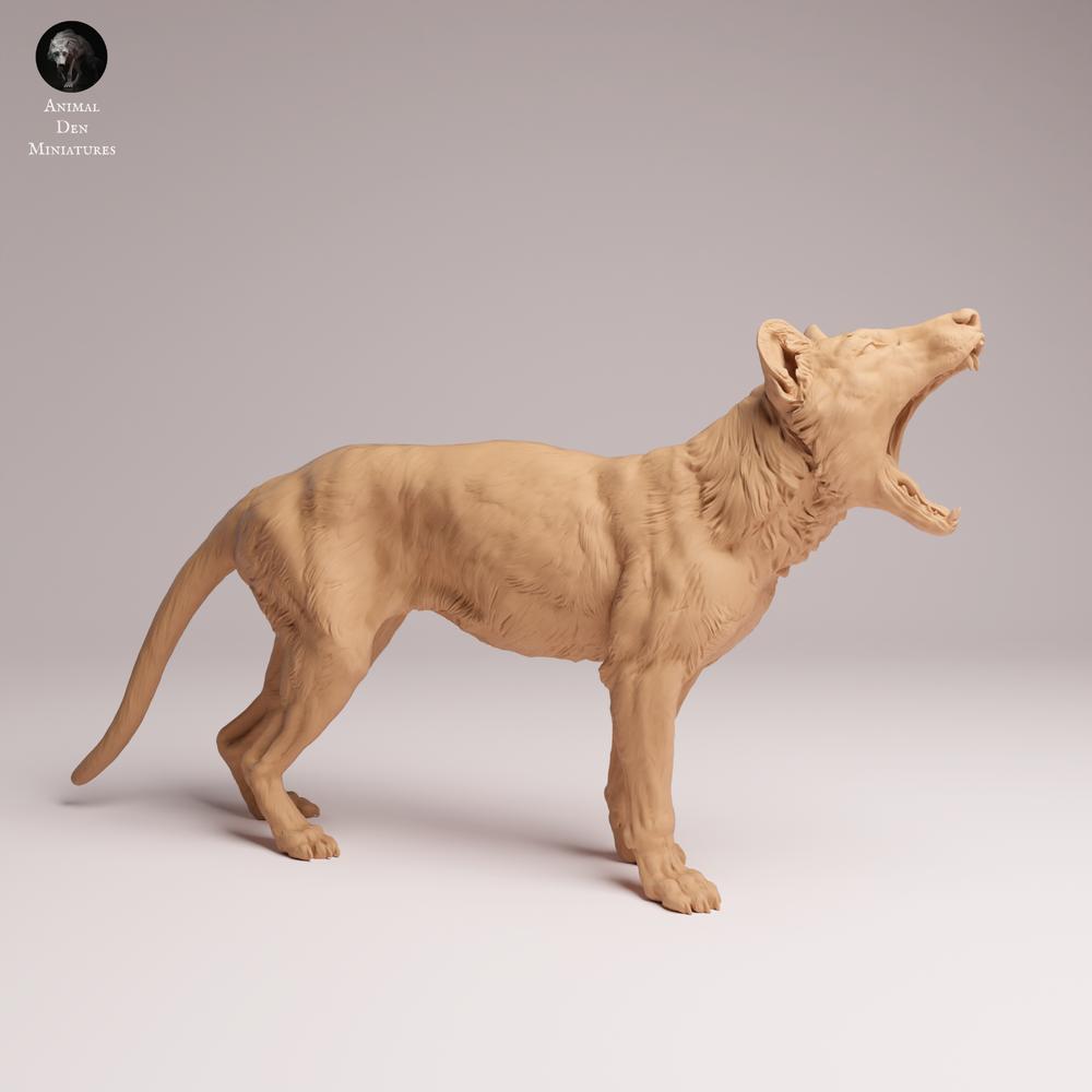 Productfoto Tabletop 28mm Lord of the Print (LotP) 0: Wilde dierenfiguur: Buidelwolf (Tasmaanse tijger) - gapend (26_04_09)