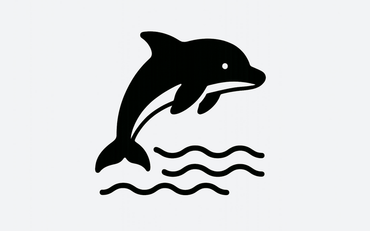 Walvissen & Dolfijnen