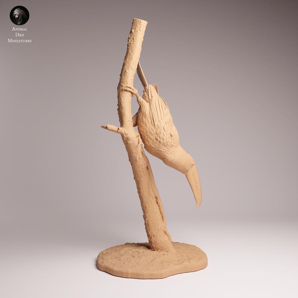 Produktfoto Tabletop 28mm Lord of the Print (LotP) 1: Vogel Tierfigur: Toko-Tukan - auf Ast sitzend