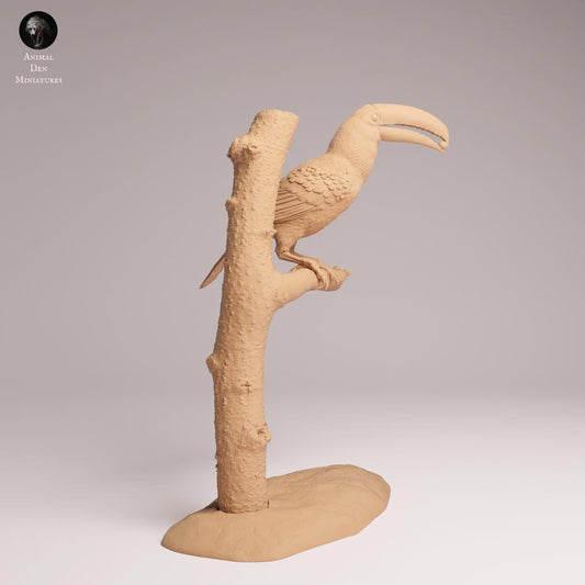 Productfoto Tabletop 28mm Lord of the Print (LotP) 0: Jungle Dierfiguur: Toko-Toekan - etend