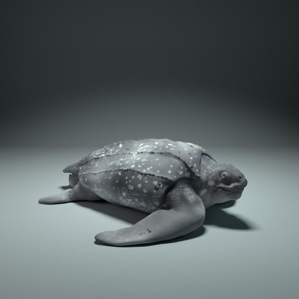 Productfoto dierenfiguur Animal Den Miniatures 0: zeedierfiguur: lederschildpad (22_09_01)
