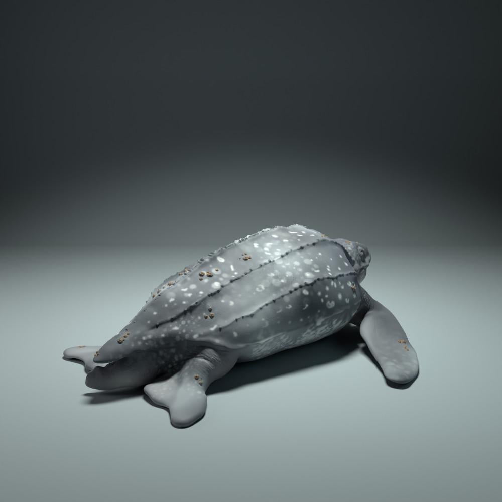 Productfoto dierenfiguur Animal Den Miniatures 1: zeedierfiguur: lederschildpad (22_09_01)