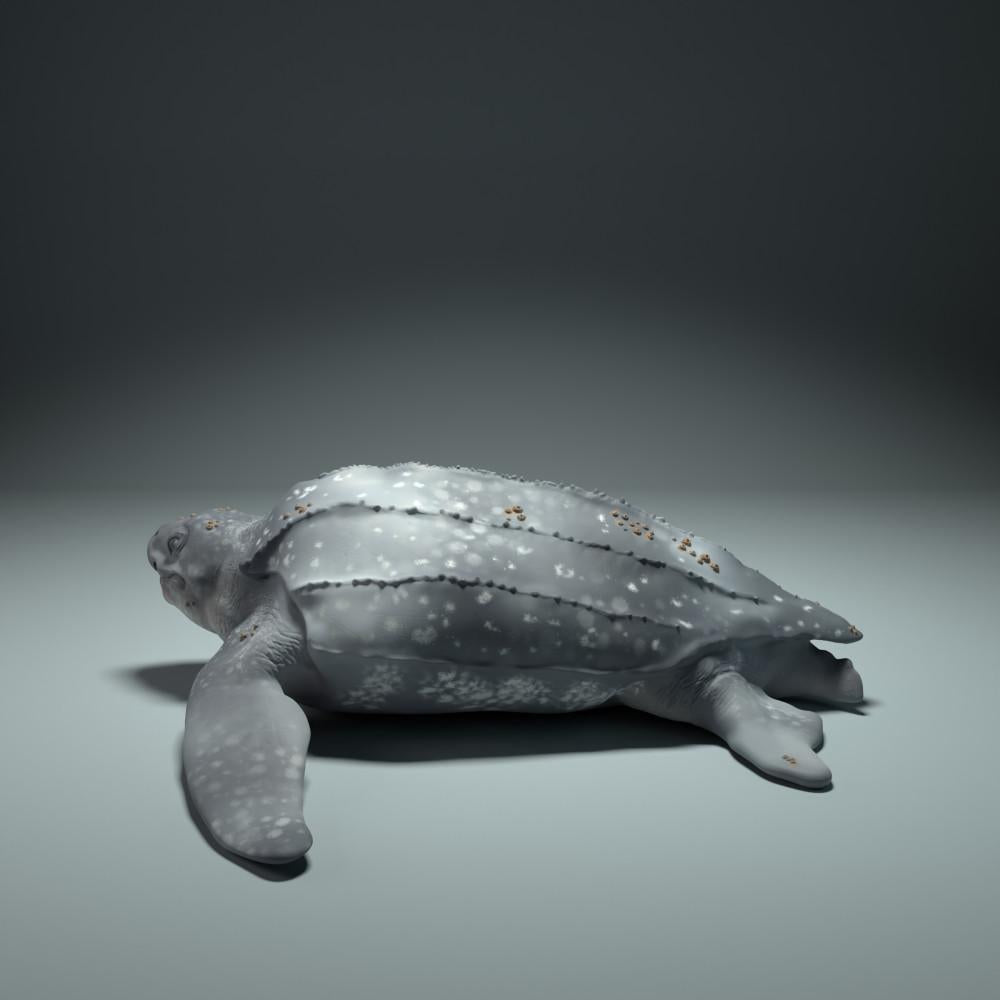 Productfoto dierenfiguur Animal Den Miniatures 2: zeedierfiguur: lederschildpad (22_09_01)