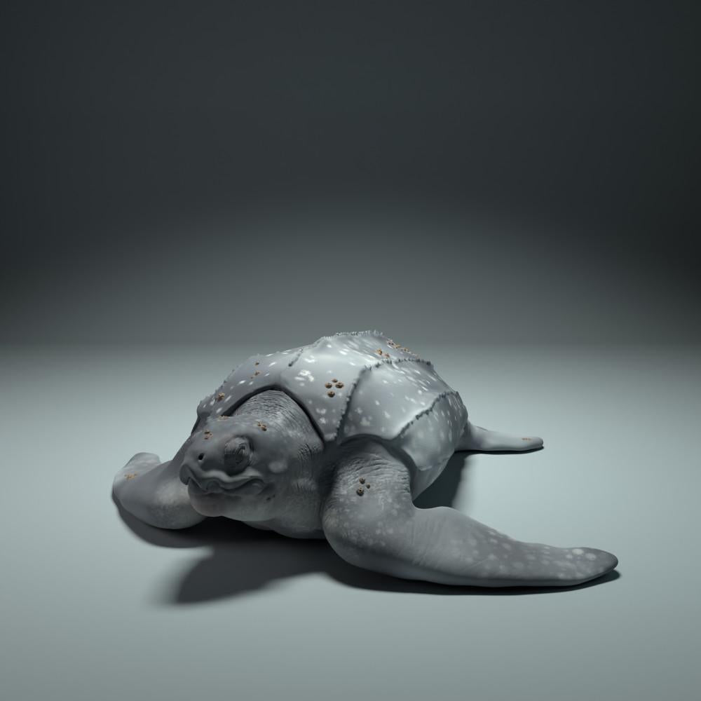Productfoto dierenfiguur Animal Den Miniatures 3: zeedierfiguur: lederschildpad (22_09_01)