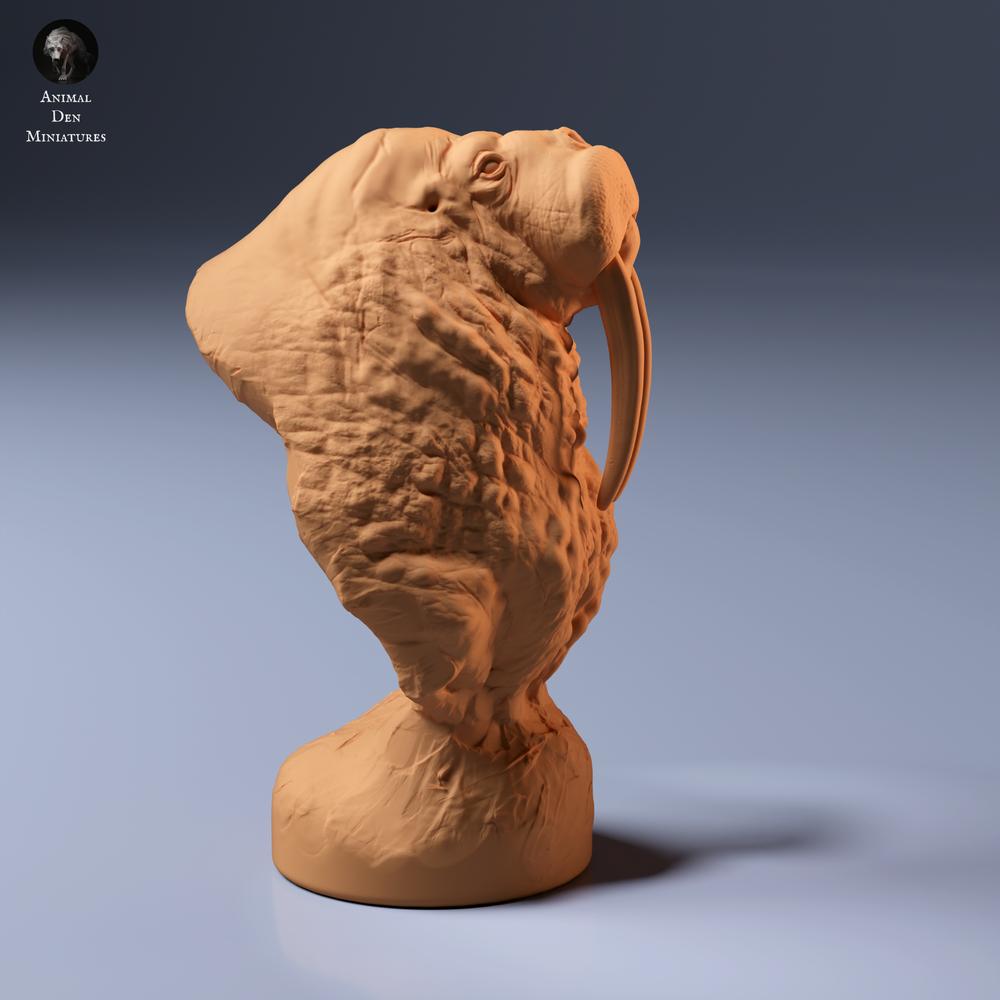 Productfoto dierenfiguur Animal Den Miniatures 5: zeedierfiguur: walrusbuste (26_09_02)