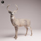 Produktfoto Tabletop 28mm Lord of the Print (LotP) 3: Wildtier Tierfigur: Weisswedelhirsch - stehend (26_01_14)