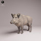 Productfoto Tabletop 28mm Lord of the Print (LotP) 3: Wild dierfiguur: wild zwijn (26_07_08)