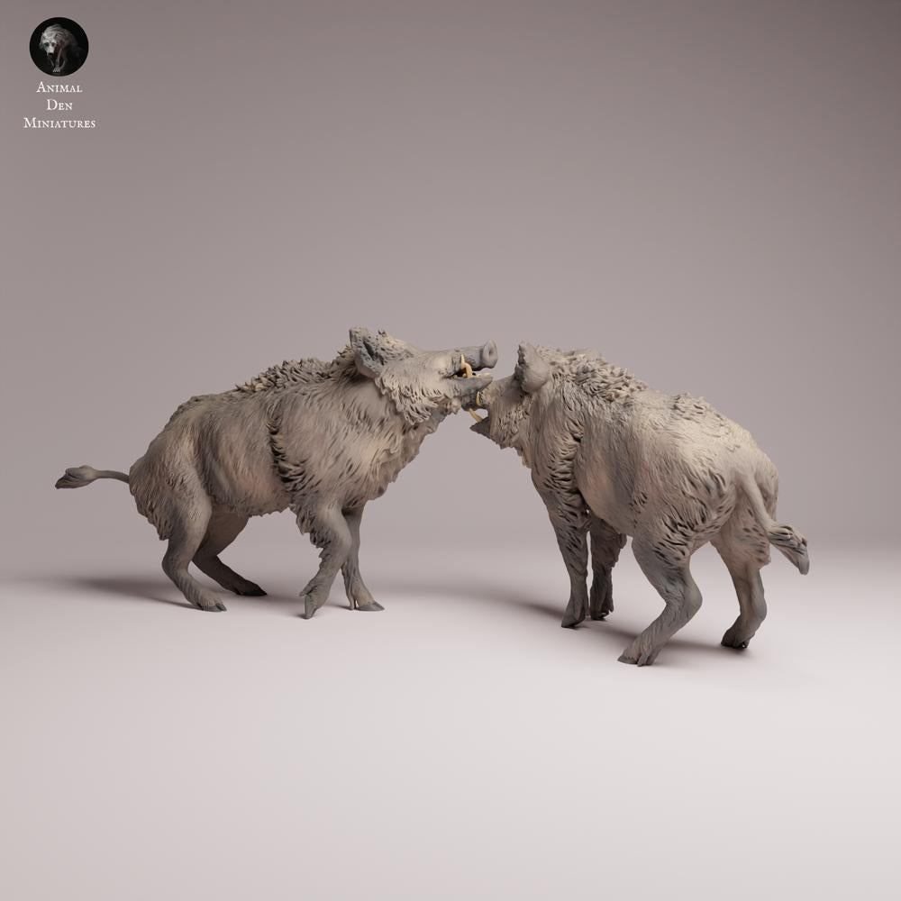 Productfoto Tabletop 28mm Lord of the Print (LotP) 3: Wildedierenfiguur: wilde zwijnen - vechtend (26_07_06)